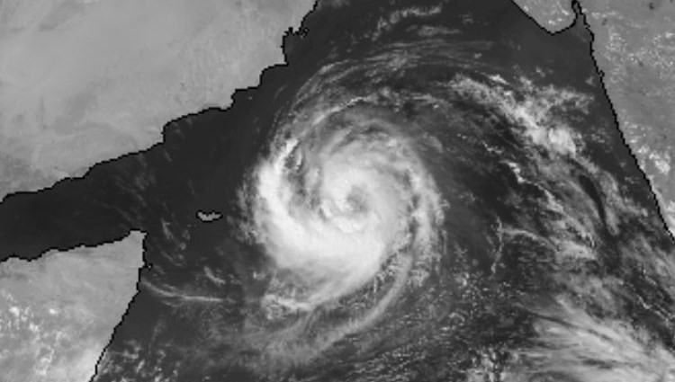 برنامج الغذاء العالمي: جهزنا الترتيبات اللازمة لمواجهة أي طارئ في سقطرى بسبب العاصفة المدارية
