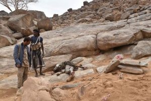 مقتل قيادي في ميليشيات الحوثي بمحافظة الحديدة