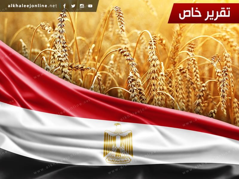 مصر.. "سلة العالم" القديم مهددة غذائياً وينهشها الفساد