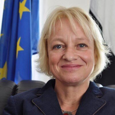 سفيرة الاتحاد الأوروبي تساند الإرهاب وتعيق السلام  في اليمن 