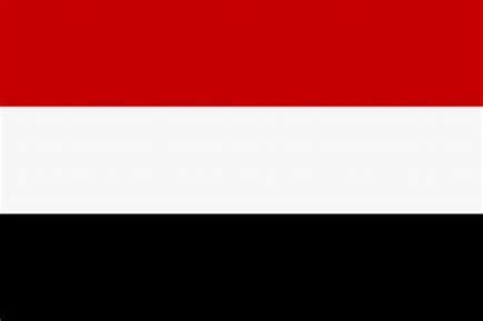 الحكومة اليمنية تشيد بالإجراءات السعودية بشأن قضية الصحافي "خاشقجي"
