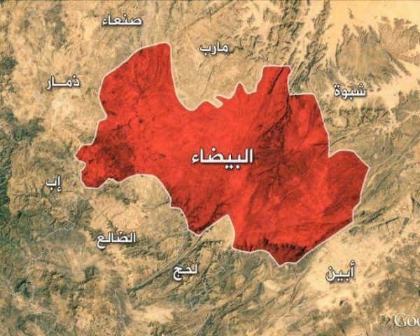 قوات الجيش تحبط محاولة تسلل للمليشيات وتأسر 7 حوثيين في البيضاء